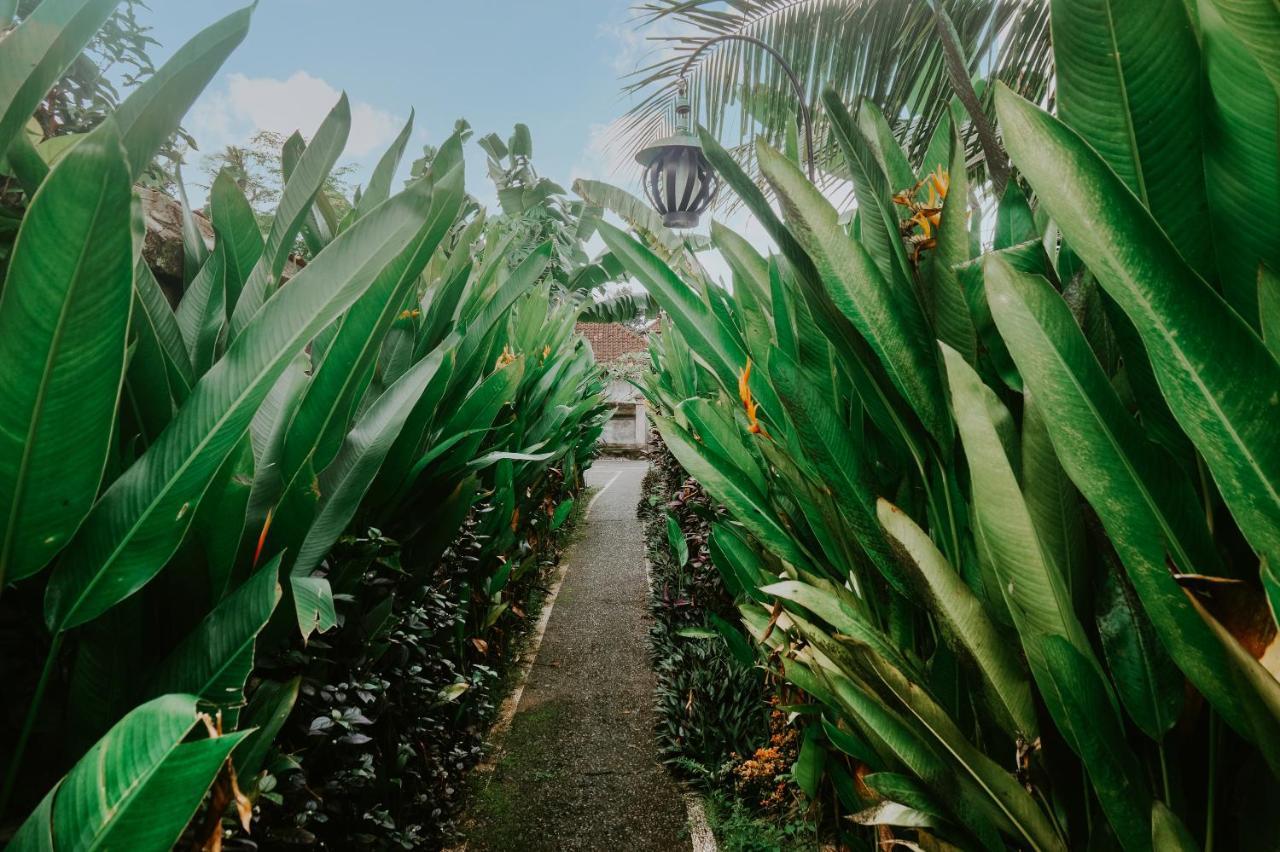 Anggira Villa Ubud Eksteriør bilde
